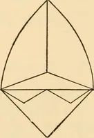 An illustration from Mathematical construction, informal number work for busy hands; grades one and two (1911)