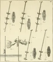 An illustration from Mathematical elements of natural philosophy, confirm'd by experiments : or, An introduction to Sir Isaac Newton's philosophy (1747)