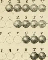 Picture 46 of 76 from Mathematical elements of natural philosophy, confirm'd by experiments : or, An introduction to Sir Isaac Newton's philosophy (1747), leaf 432