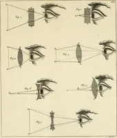An illustration from Mathematical elements of natural philosophy, confirm'd by experiments : or, An introduction to Sir Isaac Newton's philosophy (1747)