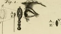 Picture 47 of 91 from Mathematical elements of natural philosophy, confirm'd by experiments : or, An introduction to Sir Isaac Newton's philosophy (1747), leaf 286