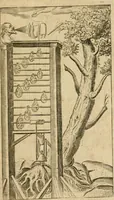 An illustration from The mathematical and philosophical works of the Right Reverend John Wilkins ... to which is prefix'd the author's life, and an account of his works (1708)
