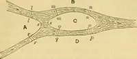 An illustration from Mathematical recreations and essays (1914)