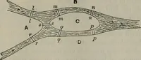 An illustration from Mathematical recreations and essays (1920)