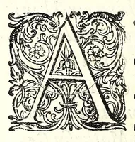 An illustration from Mathesis Caesarea, sive, Amussis Ferdinandea : in lucem publicam & usum eruditae posteritatis, gratulantibus litteratorum geniis evecta, atque ad problemata universae matheseos, praesertim vero architecturae militaris explicata jussu & auctoritate Augustissimi Imperatoris Ferdinandi III (1662)