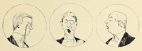 An illustration from Matrimonial advice (1891)