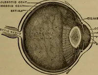An illustration from Matter, ether, and motion; the factors and relations of physical science (1892)