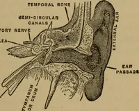 An illustration from Matter, ether, and motion; the factors and relations of physical science (1892)