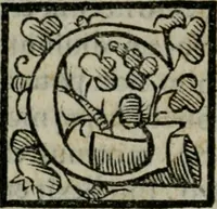 An illustration from M. Attilii Serrani De septem vrbis ecclesiis : vna cum earum reliquijs, stationibus, & indulgentijs (1575)