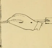 An illustration from Mat weaving and slat weaving in primary schools; a practical manual especially for primary-kindergarten teachers .. (1904)