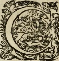 An illustration from Mausoleum potentissimorum ac gloriosissimorum Regni Apostolici regum & primorum militantis Ungariae ducum : vindicatis è mortuali pulvere reliquiis ad gratam apud posteros memoriam, à pIo et IVsto patrIae DoLore ereCtVM : cum versione operis Germanicâ (1664)