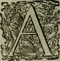 An illustration from Mausoleum potentissimorum ac gloriosissimorum Regni Apostolici regum & primorum militantis Ungariae ducum : vindicatis è mortuali pulvere reliquiis ad gratam apud posteros memoriam, à pIo et IVsto patrIae DoLore ereCtVM : cum versione operis Germanicâ (1664)