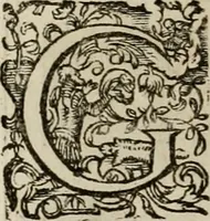 An illustration from Mausoleum potentissimorum ac gloriosissimorum Regni Apostolici regum & primorum militantis Ungariae ducum : vindicatis è mortuali pulvere reliquiis ad gratam apud posteros memoriam, à pIo et IVsto patrIae DoLore ereCtVM : cum versione operis Germanicâ (1664)