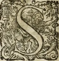 An illustration from Mausoleum potentissimorum ac gloriosissimorum Regni Apostolici regum & primorum militantis Ungariae ducum : vindicatis è mortuali pulvere reliquiis ad gratam apud posteros memoriam, à pIo et IVsto patrIae DoLore ereCtVM : cum versione operis Germanicâ (1664)