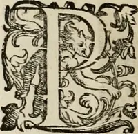 An illustration from Mausoleum potentissimorum ac gloriosissimorum Regni Apostolici regum & primorum militantis Ungariae ducum : vindicatis è mortuali pulvere reliquiis ad gratam apud posteros memoriam, à pIo et IVsto patrIae DoLore ereCtVM : cum versione operis Germanicâ (1664)