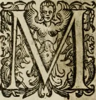 An illustration from Mausoleum potentissimorum ac gloriosissimorum Regni Apostolici regum & primorum militantis Ungariae ducum : vindicatis è mortuali pulvere reliquiis ad gratam apud posteros memoriam, à pIo et IVsto patrIae DoLore ereCtVM : cum versione operis Germanicâ (1664)