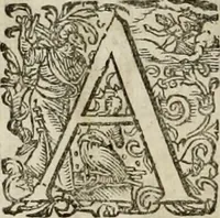 An illustration from Mausoleum potentissimorum ac gloriosissimorum Regni Apostolici regum & primorum militantis Ungariae ducum : vindicatis è mortuali pulvere reliquiis ad gratam apud posteros memoriam, à pIo et IVsto patrIae DoLore ereCtVM : cum versione operis Germanicâ (1664)