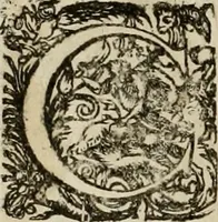An illustration from Mausoleum potentissimorum ac gloriosissimorum Regni Apostolici regum & primorum militantis Ungariae ducum : vindicatis è mortuali pulvere reliquiis ad gratam apud posteros memoriam, à pIo et IVsto patrIae DoLore ereCtVM : cum versione operis Germanicâ (1664)