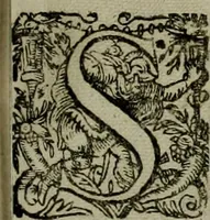 An illustration from Mausoleum potentissimorum ac gloriosissimorum Regni Apostolici regum & primorum militantis Ungariae ducum : vindicatis è mortuali pulvere reliquiis ad gratam apud posteros memoriam, à pIo et IVsto patrIae DoLore ereCtVM : cum versione operis Germanicâ (1664)