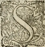 An illustration from Mausoleum potentissimorum ac gloriosissimorum Regni Apostolici regum & primorum militantis Ungariae ducum : vindicatis è mortuali pulvere reliquiis ad gratam apud posteros memoriam, à pIo et IVsto patrIae DoLore ereCtVM : cum versione operis Germanicâ (1664)
