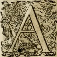 An illustration from Mausoleum potentissimorum ac gloriosissimorum Regni Apostolici regum & primorum militantis Ungariae ducum : vindicatis è mortuali pulvere reliquiis ad gratam apud posteros memoriam, à pIo et IVsto patrIae DoLore ereCtVM : cum versione operis Germanicâ (1664)