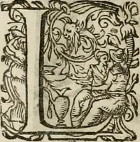 An illustration from Mausoleum potentissimorum ac gloriosissimorum Regni Apostolici regum & primorum militantis Ungariae ducum : vindicatis è mortuali pulvere reliquiis ad gratam apud posteros memoriam, à pIo et IVsto patrIae DoLore ereCtVM : cum versione operis Germanicâ (1664)