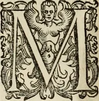 An illustration from Mausoleum potentissimorum ac gloriosissimorum Regni Apostolici regum & primorum militantis Ungariae ducum : vindicatis è mortuali pulvere reliquiis ad gratam apud posteros memoriam, à pIo et IVsto patrIae DoLore ereCtVM : cum versione operis Germanicâ (1664)