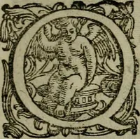 An illustration from Mausoleum potentissimorum ac gloriosissimorum Regni Apostolici regum & primorum militantis Ungariae ducum : vindicatis è mortuali pulvere reliquiis ad gratam apud posteros memoriam, à pIo et IVsto patrIae DoLore ereCtVM : cum versione operis Germanicâ (1664)