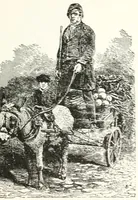 Picture 2 of 25 from Mayhew's London; being selections from 'London labour and the London poor' (which was first published in 1851) (1651), leaf 39