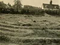 Picture 51 of 122 from Mazes and labyrinths : a general account of their history and developments (1922), leaf 144