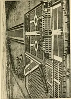 Picture 96 of 122 from Mazes and labyrinths : a general account of their history and developments (1922), leaf 218