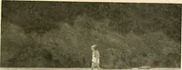 Picture 115 of 122 from Mazes and labyrinths : a general account of their history and developments (1922), leaf 294