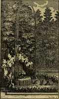 Picture 75 of 128 from Mazes and labyrinths; a general account of their history and developments (1922), leaf 185