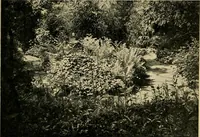 Picture 90 of 128 from Mazes and labyrinths; a general account of their history and developments (1922), leaf 202