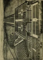 Picture 98 of 128 from Mazes and labyrinths; a general account of their history and developments (1922), leaf 216