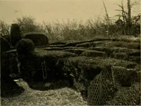 Picture 100 of 128 from Mazes and labyrinths; a general account of their history and developments (1922), leaf 224