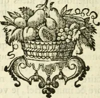 An illustration from Médecine de l'esprit : où l'on cherche 1o., le méchanisme du corps qui influe sur les fonctions de l'ame : 2o., les causes physiques qui rendent ce méchanisme ou défectueux, ou plus parfait : 3o., les moyens qui peuvent l'entretenir dans son état libre, & le rectifier lorqu'il est gêné (1769)