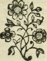 An illustration from Médecine de l'esprit : où l'on cherche 1o., le méchanisme du corps qui influe sur les fonctions de l'ame : 2o., les causes physiques qui rendent ce méchanisme ou défectueux, ou plus parfait : 3o., les moyens qui peuvent l'entretenir dans son état libre, & le rectifier lorqu'il est gêné (1769)