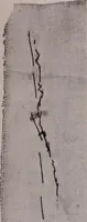 Picture 1 of 21 from The measurement of certain elements of hand sewing (1919), leaf 133