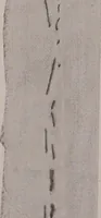 An illustration from The measurement of certain elements of hand sewing (1919)