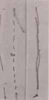 An illustration from The measurement of certain elements of hand sewing (1919)