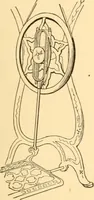 Picture 428 of 701 from Mechanical appliances, mechanical movements and novelties of construction; a complete work and a continuation, as a second volume, of the author's book entitled "Mechanical movements, powers and devices" ... including an explanatory chapter on the leading conceptions of perpetual motion existing during the past three centuries (1910), leaf 248