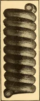 An illustration from Mechanical appliances, mechanical movements and novelties of construction; a complete work and a continuation, as a second volume, of the author's book entitled "Mechanical movements, powers and devices" ... including an explanatory chapter on the leading conceptions of perpetual motion existing during the past three centuries (1910)