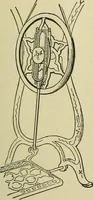 An illustration from Mechanical applicances, mechanical movements and novelties of construction; a complete work and a continuation, as a second volume, of the author's book entitled "Mechanical mvements, powers and devices"; (1917)