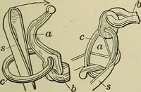 An illustration from Mechanical applicances, mechanical movements and novelties of construction; a complete work and a continuation, as a second volume, of the author's book entitled "Mechanical mvements, powers and devices"; (1917)