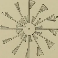 An illustration from Mechanical applicances, mechanical movements and novelties of construction; a complete work and a continuation, as a second volume, of the author's book entitled "Mechanical mvements, powers and devices"; (1917)