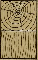 An illustration from Mechanical drawing : a manual for teachers and students (1902)