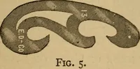 An illustration from Mechanical drawing. Elementary and advanced (1910)