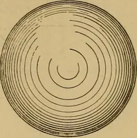 Picture 47 of 242 from Mechanical drawing self-taught: comprising instructions in the selection and preparation of drawing instruments. Elementary instruction in practical mechanical drawing. Together with examples in simple geometry and elementary mechanism, including screw threads, gear wheels, mechanical motions, engines and boilers (1889), leaf 89