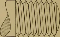 An illustration from Mechanical drawing self-taught: comprising instructions in the selection and preparation of drawing instruments. Elementary instruction in practical mechanical drawing. Together with examples in simple geometry and elementary mechanism, including screw threads, gear wheels, mechanical motions, engines and boilers (1889)